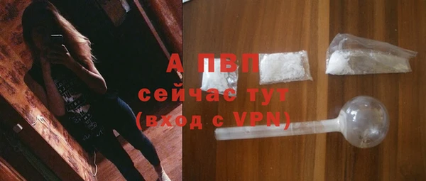 крисы Верея