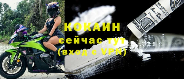 крисы Верея