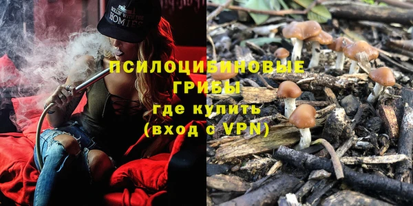 мяу мяу мука Верхнеуральск